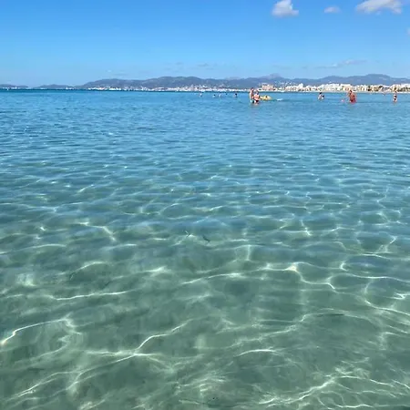 Admiral Plaza, & Daire Sunny Beach